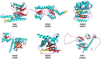 Characterization of host substrates of SARS-CoV-2 main protease